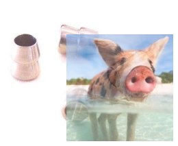 Wtyk udrażniający przewód paliwowy - duży (4 szt)