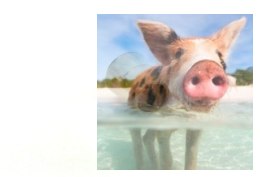 Wtyk udrażniający przewód paliwowy - mały (4 szt)