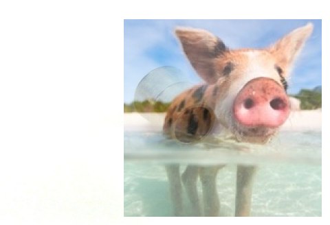 Wtyk udrażniający przewód paliwowy - mały (4 szt)