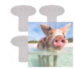 Zębatki 4 szt X13-03