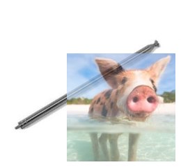 Antena M3 średnica 4mm