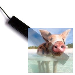 Antena PCB do L9R