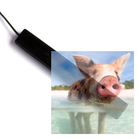 Antena PCB do L9R