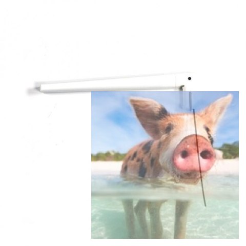 Antena nadajnika X7 - Biała