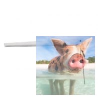 Antena nadajnika X7 - Biała