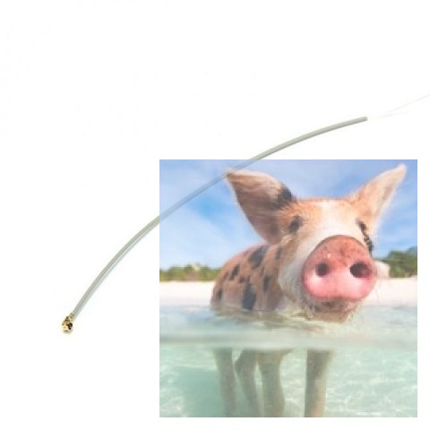 Antena odbiornika 250mm ze złączem IPEX 4 Antena odbiornika 250mm ze złączem IPEX 4
