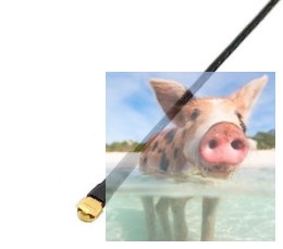 Antena odbiornika XM/XM+ RX 10cm