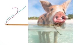 Belka ogonowa z silnikiem i statecznikami Phoenix/Tercel - H18-009