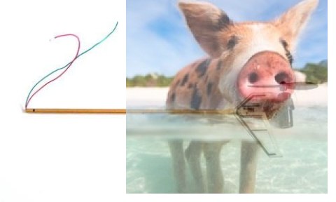 Belka ogonowa z silnikiem i statecznikami Phoenix/Tercel - H18-009