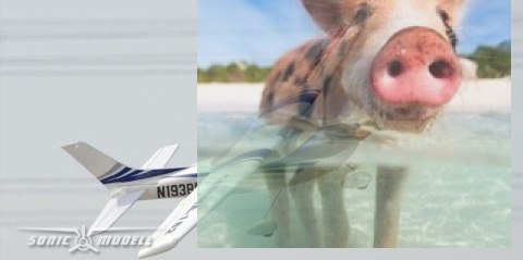 Cessna 182 2.4GHz RTF (rozpiętość 96,5cm, klasa 400, silnik bezszczotkowy, regulator 20A)