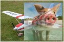 Cessna 182 SkyLane V1 2.4GHz RTF (rozpiętość 140cm, klasa 500, silnik bezszczotkowy, regulator 30A)