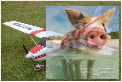 Cessna 182 SkyLane V1 2.4GHz RTF (rozpiętość 140cm, klasa 500, silnik bezszczotkowy, regulator 30A) Cessna 182 SkyLane V1 2.4GHz RTF (rozpiętość 140cm, klasa 500, silnik bezszczotkowy, regulator 30A)