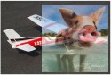 Cessna 182 SkyLane V1 2.4GHz RTF (rozpiętość 140cm, klasa 500, silnik bezszczotkowy, regulator 30A)