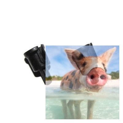 Kielich dyferencjału