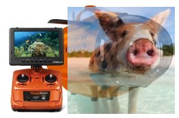 Łódź podwodna SEAWOLF Ocean Master 5.8GHz bezszczotkowa RTR