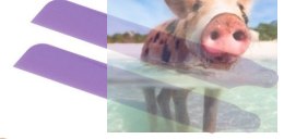 Łopaty główne - NANO-030 108x16mm