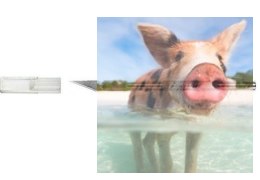 Maxx Knives - K1 Nóż skalpel artystyczny do precyzyjnego cięcia (50001)