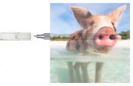 Maxx Knives - K4 precyzyjny nóż z obrotowym ostrzem 360 stopni (50004)