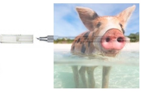 Maxx Knives - K4 precyzyjny nóż z obrotowym ostrzem 360 stopni (50004)