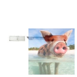 Maxx Knives - K5 nóż do kartonów plastików i drewna (50005)