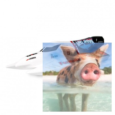 Mad Shark 2CH 2.4GHz RTR 40km/h