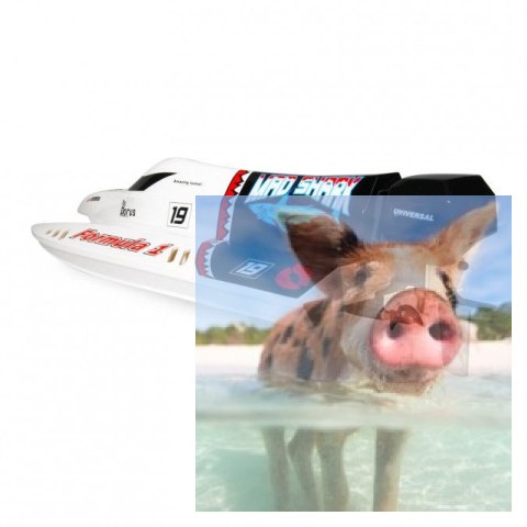 Mad Shark 2CH 2.4GHz RTR 40km/h