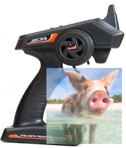 Mad Shark 2CH 2.4GHz RTR 40km/h