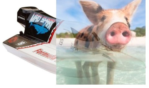 Mad Shark 2CH 2.4GHz RTR 40km/h