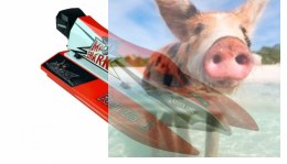 Mad Shark V2 Brushless 2CH 2.4GHz ARTR - czerwony
