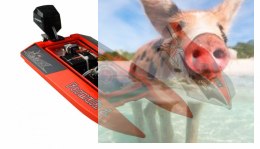 Mad Shark V2 Brushless 2CH 2.4GHz ARTR - czerwony