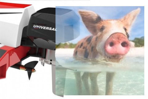 Mad Shark V2 Brushless 2CH 2.4GHz ARTR - czerwony Mad Shark V2 Brushless 2CH 2.4GHz ARTR - czerwony
