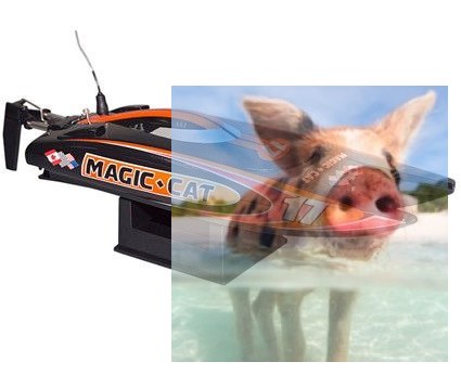 Magic Cat V4 2CH 2.4GHz RTR