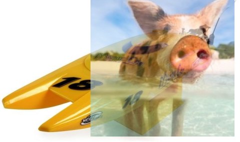 Magic Cat V4 2CH 2.4GHz RTR