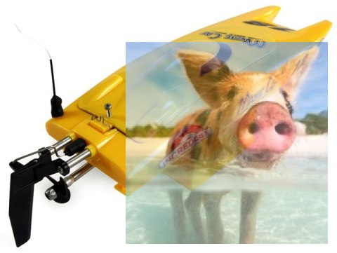 Magic Cat V4 2CH 2.4GHz RTR