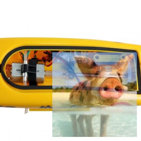 Magic Cat V4 2CH 2.4GHz RTR