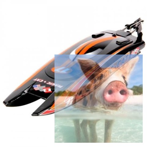 Magic Cat V5 2CH 2.4GHz RTR