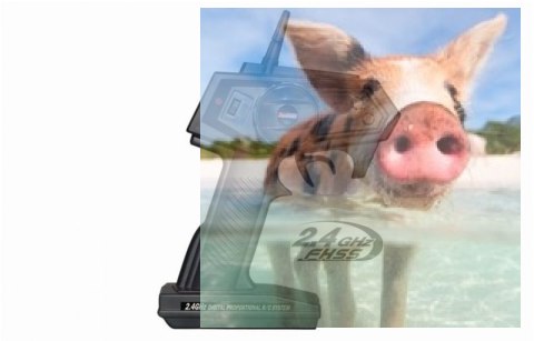 Magic Cat V5 2CH 2.4GHz RTR