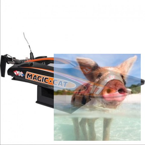 Magic Cat V5 2CH 2.4GHz RTR