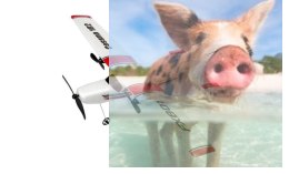 Mini Cessna 182 2CH 2.4GHz RTF (rozpiętość 316mm)