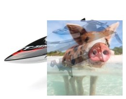 Motorówka FT012 2.4GHz RTR