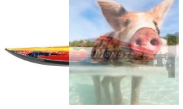 Motorówka Monster 2.4GHz, ARTR