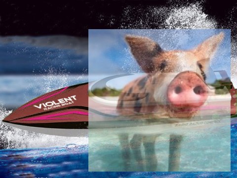 Motorówka Violent 2.4GHz 30km/h RTR - czerwona