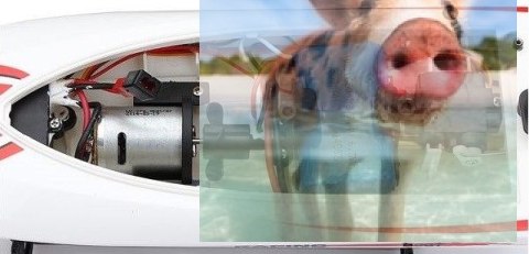 Motorówka WL911 2.4GHz RTR - Żółta