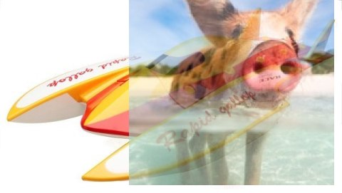 Motorówka WL913 2.4GHz RTR (długość 62cm, prędkość do 50km/h, silnik bezszczotkowy)