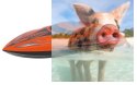 Offshore Lite Warrior V4 2CH 2.4GHz RTR