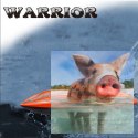 Offshore Lite Warrior V4 2CH 2.4GHz RTR