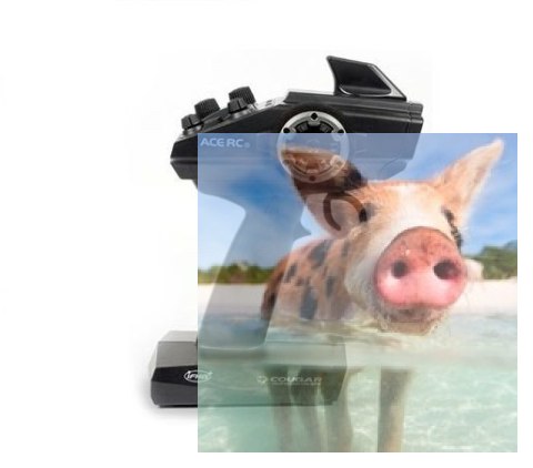 Olympian Extreme Jet sprint racing 2.4GHz RTR bezszczotkowa - zielony