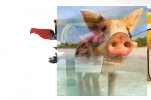 Olympian Extreme Jet sprint racing 2.4GHz RTR bezszczotkowa - żółty