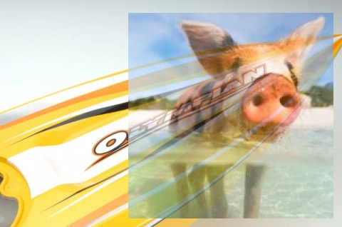 Olympian Extreme Jet sprint racing 2.4GHz RTR bezszczotkowa - żółty