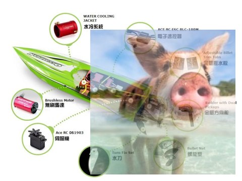 Olympian Extreme Jet sprint racing 2.4GHz RTR bezszczotkowa - żółty